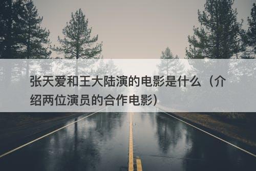 张天爱和王大陆演的电影是什么（介绍两位演员的合作电影）