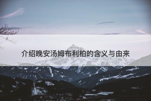 介绍晚安汤姆布利柏的含义与由来