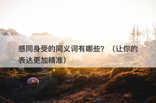 感同身受的同义词有哪些？（让你的表达更加精准）