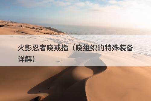 火影忍者晓戒指（晓组织的特殊装备详解）