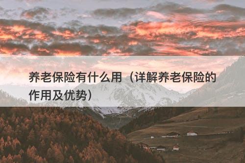 养老保险有什么用（详解养老保险的作用及优势）
