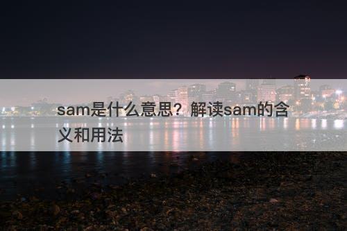 sam是什么意思？解读sam的含义和用法