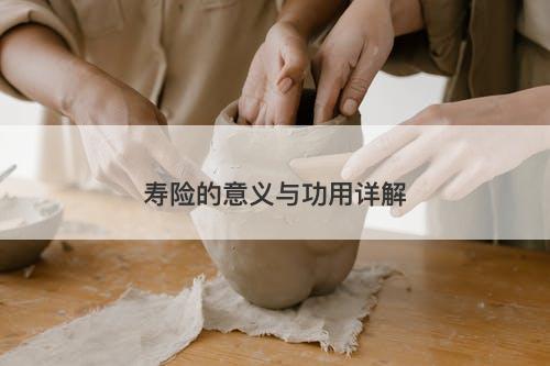 寿险的意义与功用详解