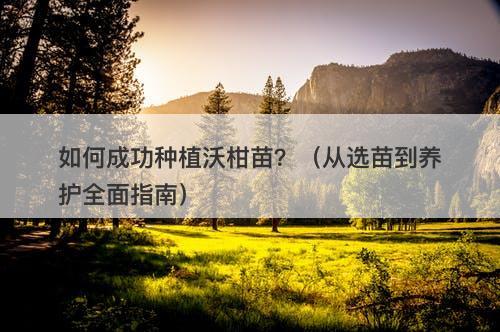 如何成功种植沃柑苗？（从选苗到养护全面指南）