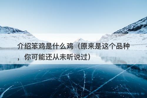 介绍笨鸡是什么鸡（原来是这个品种，你可能还从未听说过）