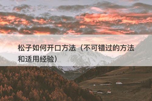 松子如何开口方法（不可错过的方法和适用经验）