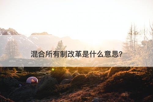 混合所有制改革是什么意思？
