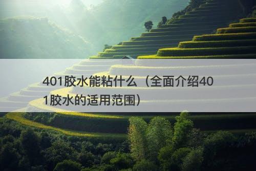 401胶水能粘什么（全面介绍401胶水的适用范围）
