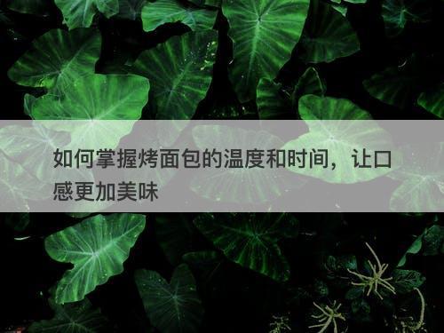 如何掌握烤面包的温度和时间，让口感更加美味