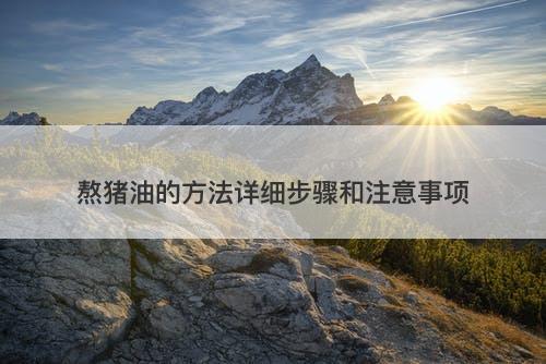 熬猪油的方法详细步骤和注意事项