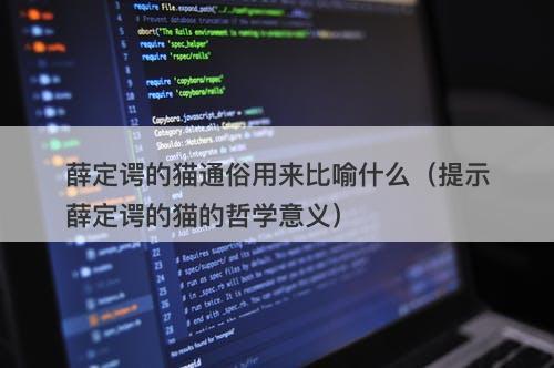 薛定谔的猫通俗用来比喻什么（提示薛定谔的猫的哲学意义）