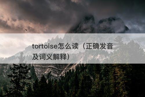 tortoise怎么读（正确发音及词义解释）-图1