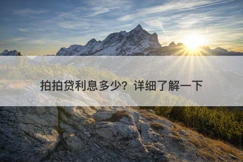 拍拍贷利息多少？详细了解一下