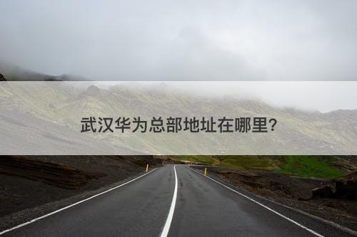 武汉华为总部地址在哪里？
