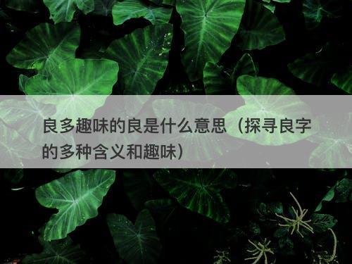 良多趣味的良是什么意思（探寻良字的多种含义和趣味）