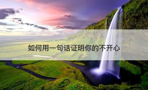 如何用一句话证明你的不开心