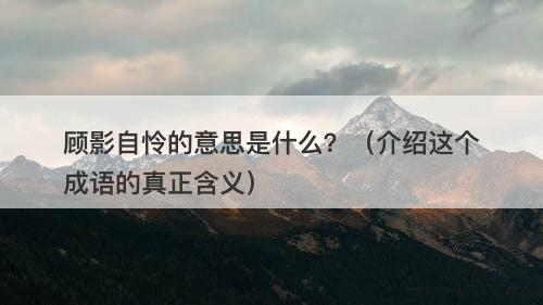 顾影自怜的意思是什么？（介绍这个成语的真正含义）
