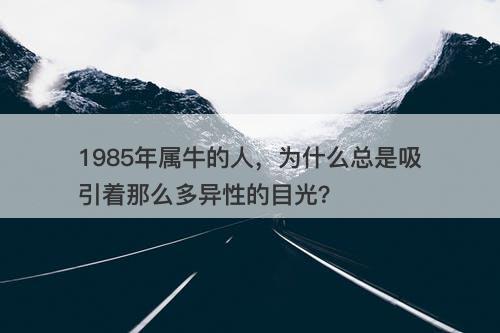 1985年属牛的人，为什么总是吸引着那么多异性的目光？