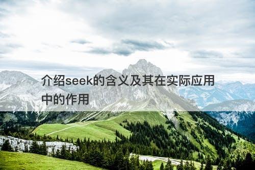 介绍seek的含义及其在实际应用中的作用