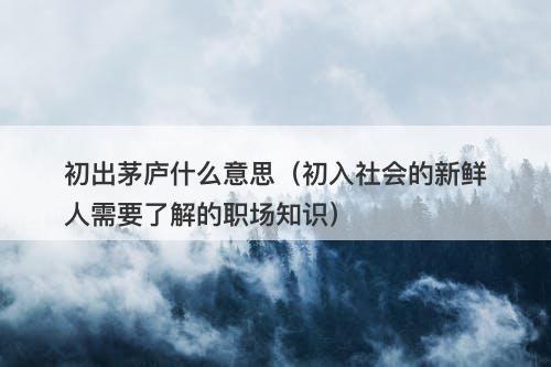 初出茅庐什么意思（初入社会的新鲜人需要了解的职场知识）-图1