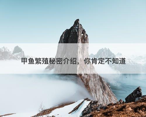 甲鱼繁殖秘密介绍，你肯定不知道-图1