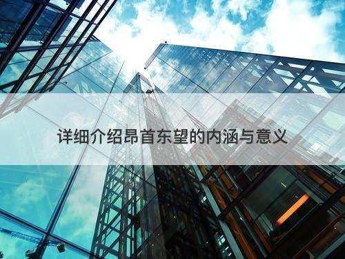 详细介绍昂首东望的内涵与意义