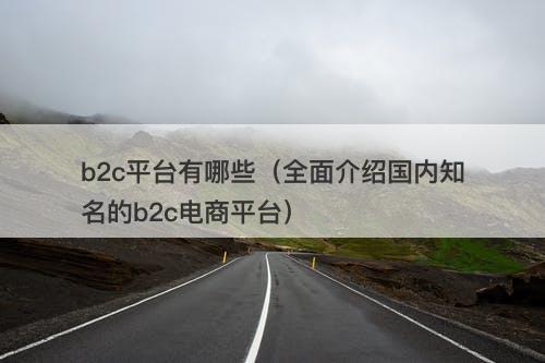 b2c平台有哪些（全面介绍国内知名的b2c电商平台）