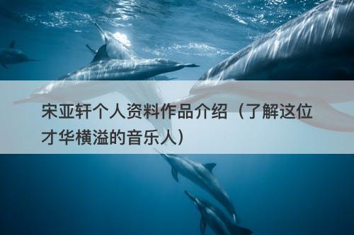 宋亚轩个人资料作品介绍（了解这位才华横溢的音乐人）