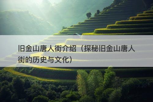 旧金山唐人街介绍（探秘旧金山唐人街的历史与文化）
