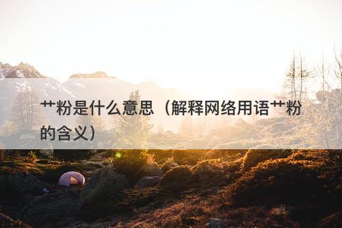 艹粉是什么意思（解释网络用语艹粉的含义）