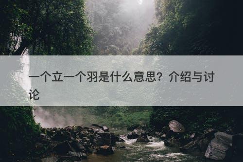 一个立一个羽是什么意思？介绍与讨论