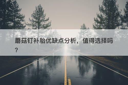 蘑菇钉补胎优缺点分析，值得选择吗？