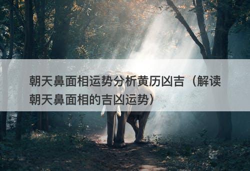 朝天鼻面相运势分析黄历凶吉（解读朝天鼻面相的吉凶运势）
