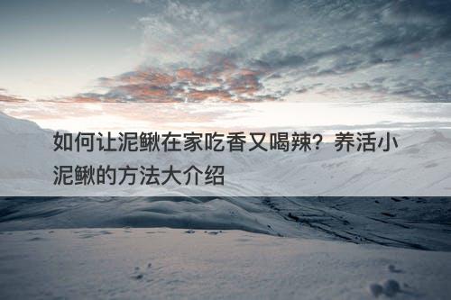如何让泥鳅在家吃香又喝辣？养活小泥鳅的方法大介绍