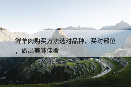 鲜羊肉购买方法选对品种，买对部位，做出美味佳肴