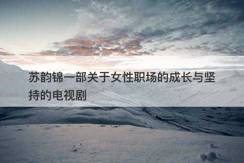 苏韵锦一部关于女性职场的成长与坚持的电视剧