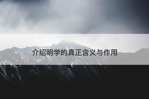 介绍明学的真正含义与作用