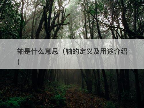 轴是什么意思（轴的定义及用途介绍）