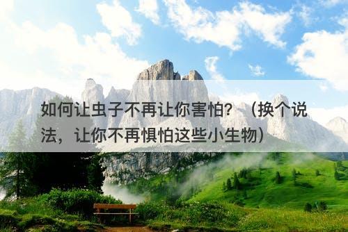 如何让虫子不再让你害怕？（换个说法，让你不再惧怕这些小生物）