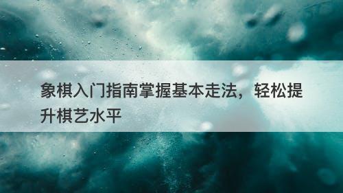 象棋入门指南掌握基本走法，轻松提升棋艺水平
