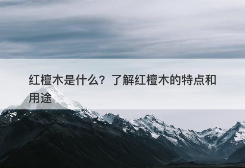 红檀木是什么？了解红檀木的特点和用途
