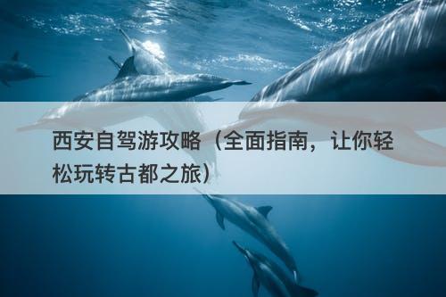 西安自驾游攻略（全面指南，让你轻松玩转古都之旅）