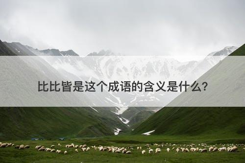 比比皆是这个成语的含义是什么？