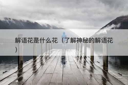 解语花是什么花（了解神秘的解语花）