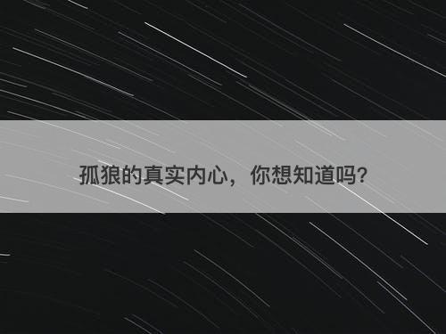 孤狼的真实内心，你想知道吗？