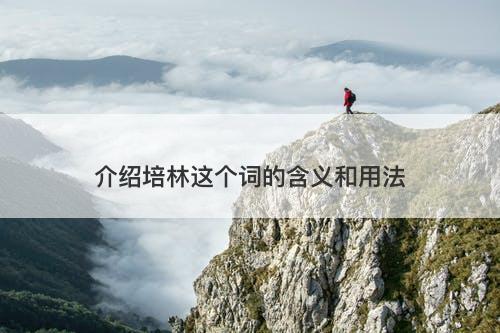 介绍培林这个词的含义和用法