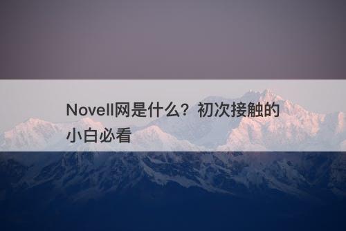 Novell网是什么？初次接触的小白必看