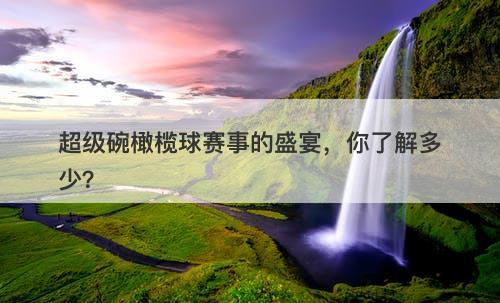 超级碗橄榄球赛事的盛宴，你了解多少？