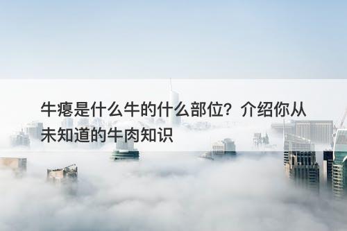牛瘪是什么牛的什么部位？介绍你从未知道的牛肉知识