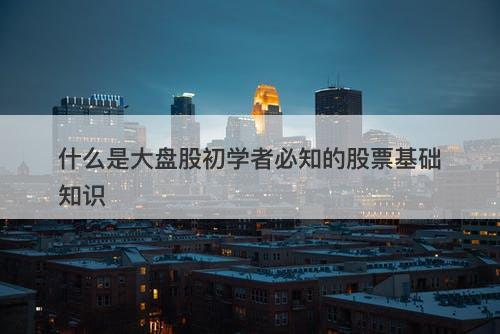 什么是大盘股初学者必知的股票基础知识